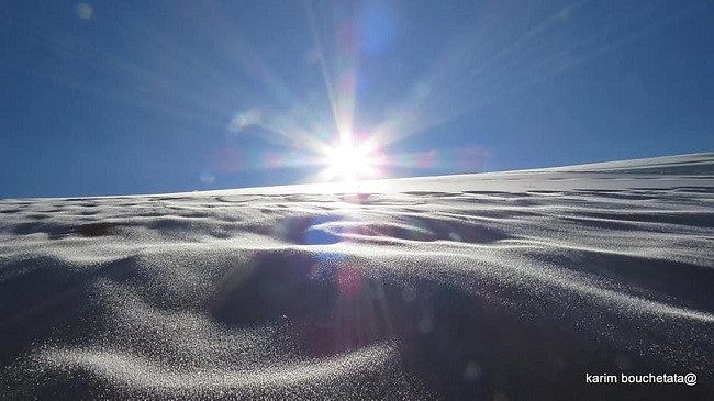 Borë në shkretëtirën e Algjerisë për herë të katërt në 42 vjet [Foto]