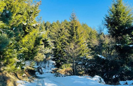 Diell dhe rënie të temperaturave, njihuni me parashikimin e motit në Shqipëri