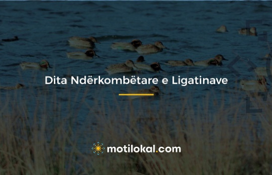2 Shkurt - Dita Ndërkombëtare e Ligatinave