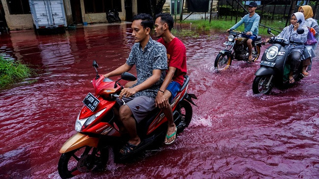 Uji me ngjyrë të kuqe përmbyt një fshat në Indonezi