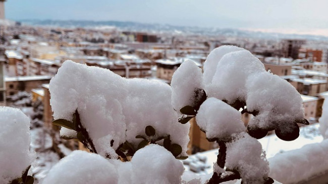 Javë me mot të ftoftë dhe me ngrica në Shqipëri