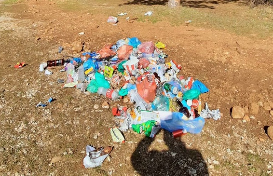 Dil në park dhe ‘shijo’ aromën e bërllogut!