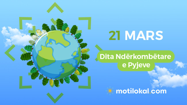 21 Mars - Dita Ndërkombëtare e Pyjeve