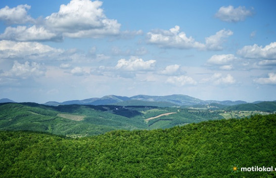 Kosova ka mbi 481 mijë hektarë pyje