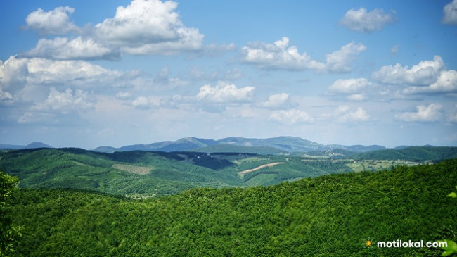 Kosova ka mbi 481 mijë hektarë pyje