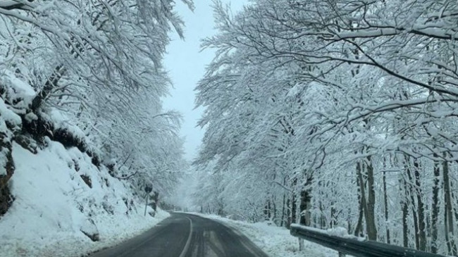 Rikthehet i ftohti polar, sot mot me shi dhe borë