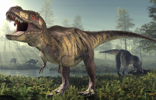 Hulumtimi: Në botë kanë jetuar 2.5 miliard dinozaurë të llojit T-rex