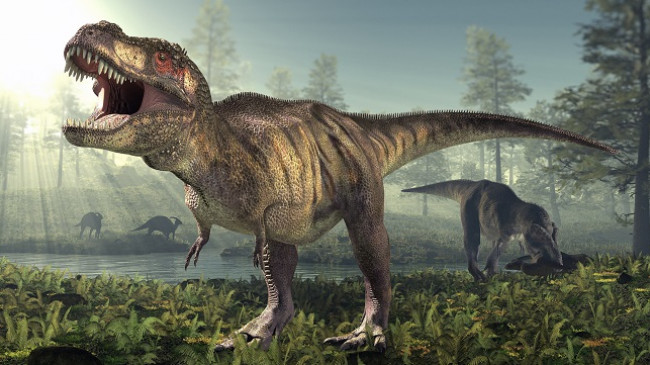 Hulumtimi: Në botë kanë jetuar 2.5 miliard dinozaurë të llojit T-rex