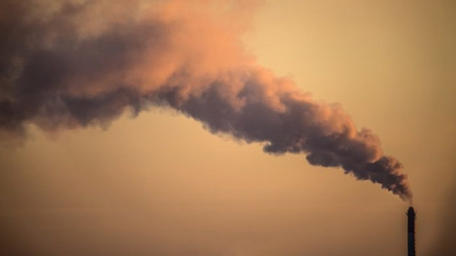 Roli i efiçiencës së energjisë në arritjen e synimeve zero emetime karboni