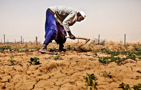Afrika vuan ndikimet më të këqija nga ndryshimet klimatike