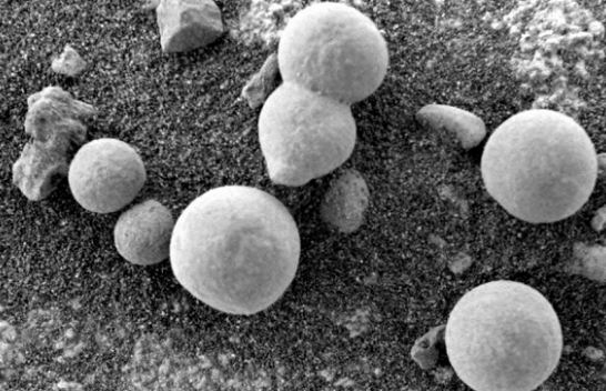 Shkencëtarët besojnë se këto fotografi tregojnë kërpudhat në Mars