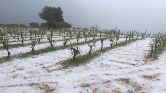 ‘Çmendet’ moti, stuhia e fortë me breshër godet Greqinë [Foto]