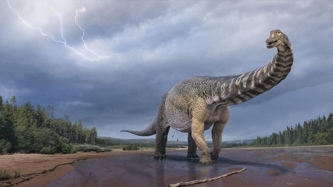 I gjatë sa një fushë basketbolli, shkencëtarët zbulojnë mbetjet e dinozaurit më të madh që jetonte në Australi