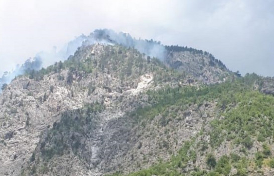 Përfshihet nga flakët Lugina e Valbonës në Tropojë