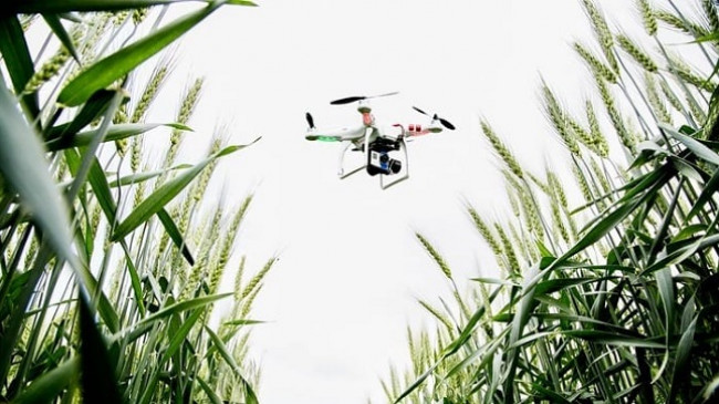 Dronët autonomë mund të ndihmojnë në bujqësi dhe raste fatkeqësish