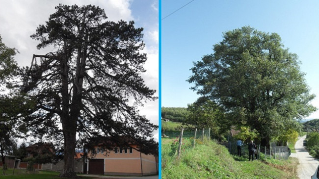Listës së zonave të mbrojtura të Kosovës u shtohen edhe 18 vlera të natyrës