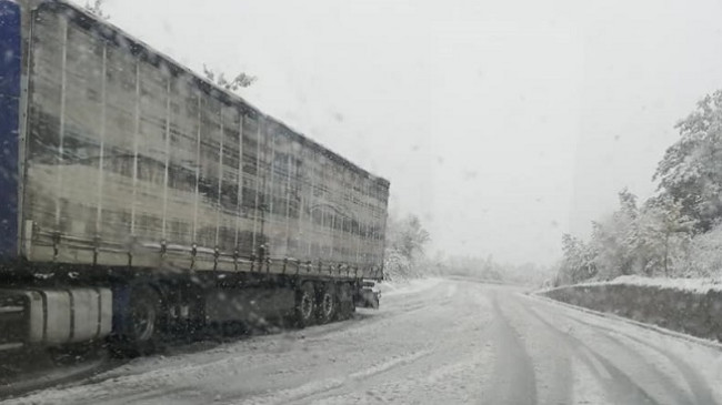 Reshje shiu e bore në Maqedoni, bëhet për kujdes në rrugë
