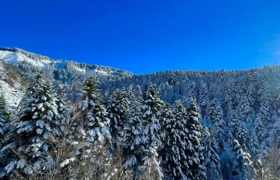 Parashikimi i meteorologëve për sot dhe nesër në Shqipëri
