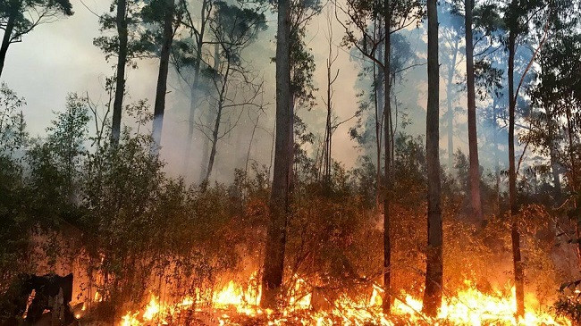 Studim: Zjarret e egra mund të ngadalësojnë rikuperimin e shtresës së ozonit