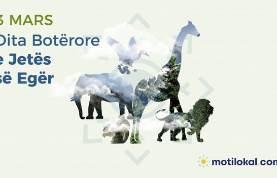 Dita Botërore e Jetës së Egër - Një mundësi për të festuar bukuritë e shumta të florës dhe faunës