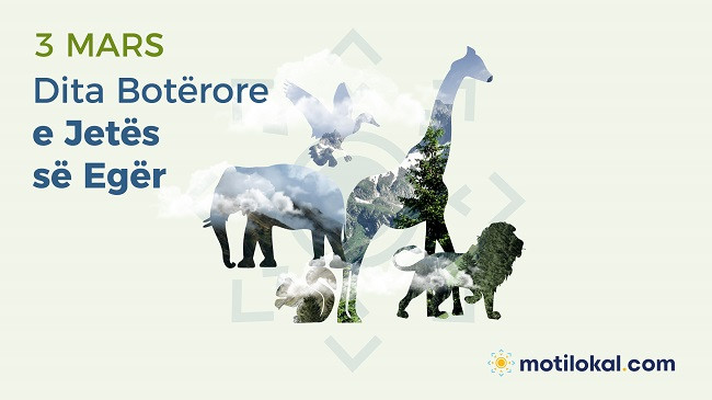Dita Botërore e Jetës së Egër - Një mundësi për të festuar bukuritë e shumta të florës dhe faunës