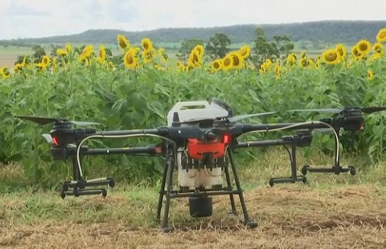 Mbjellja e lulediellit me dron në një fermë moderne të Australisë