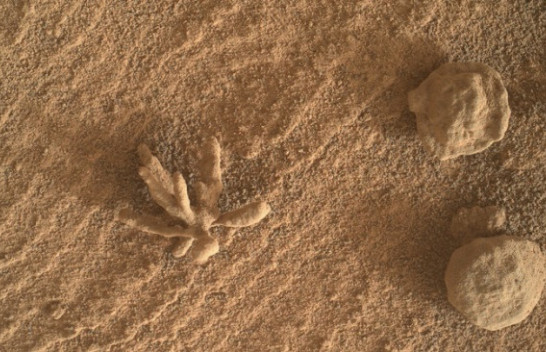 Një 'lule' në Mars, zbulim mahnitës nga roveri i NASA-s
