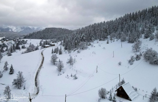 Rikthehet acari polar në Kosovë