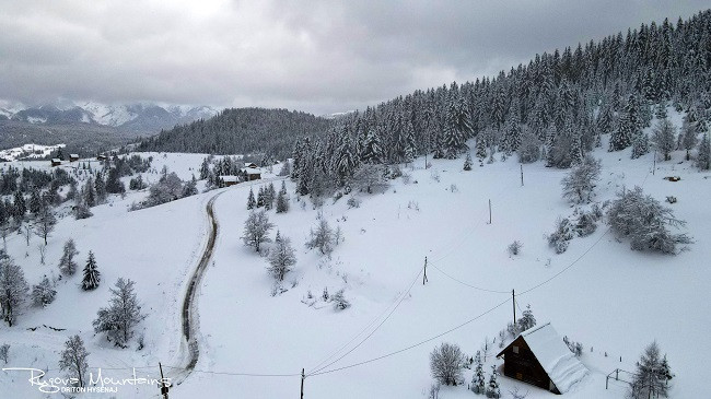 Rikthehet acari polar në Kosovë