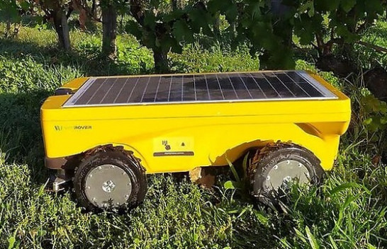Kositësja robotike me energji diellore që përdoret në vreshtat franceze
