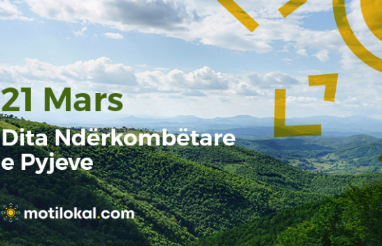 21 Mars - Dita Ndërkombëtare e Pyjeve/ Pyjet, prodhimi dhe konsumi i qëndrueshëm