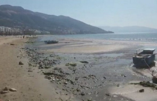 Ndodh edhe në Vlorë, fenomeni i pazakontë i tërheqjes së detit