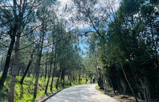 Diell dhe rritje temperaturash, moti sot e nesër në Shqipëri