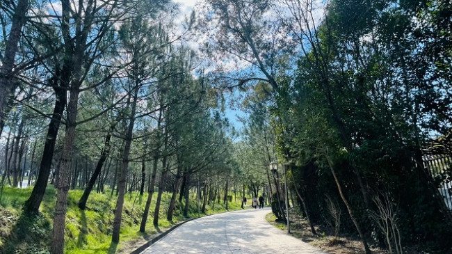 Diell dhe rritje temperaturash, moti sot e nesër në Shqipëri