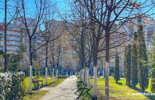 Mot tipik pranveror në Kosovë
