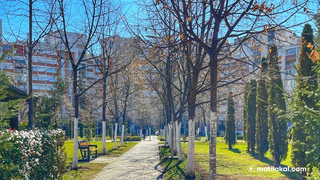 Mot tipik pranveror në Kosovë
