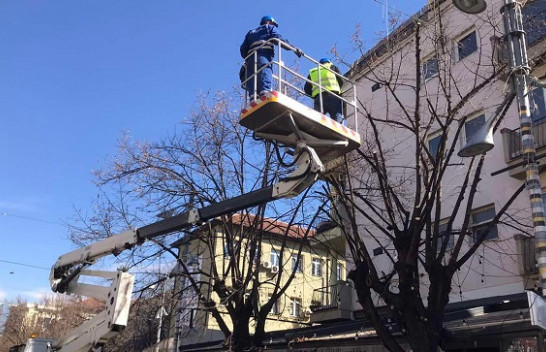 Komuna e Prishtinës jep sqarim për krasitjen e drurëve në shesh