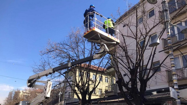 Komuna e Prishtinës jep sqarim për krasitjen e drurëve në shesh