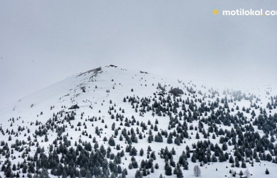 Surprizat e motit, nesër shi dhe borë në Shqipëri dhe Kosovë