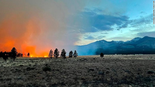 Zjarri pyjor në Arizona, qindra të evakuuar nga shtëpitë e tyre