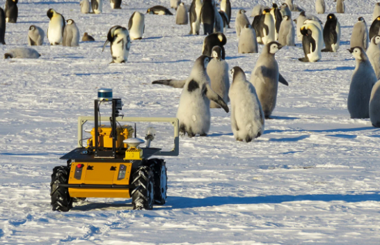 Roboti Echo që 'spiunon' pinguinët në Antarktidë