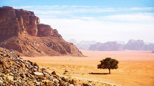A mundet mbjellja e pemëve të parandalojë shkretëtirëzimin në Jordani?