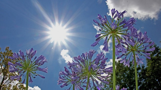 Diell dhe rritje temperaturash, parashikimi i motit për sot dhe nesër në Maqedoni