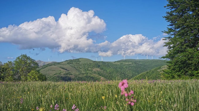 Mot tipik veror në Kosovë