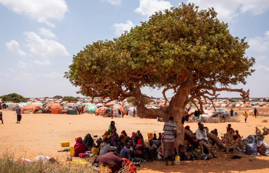 Somali, 1 milion njerëz në rrezik nga uria për shkak të thatësirës