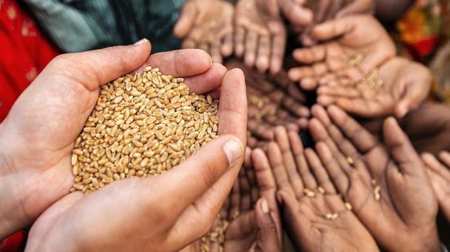 FAO: 2.3 miliardë njerëz përballen me pasiguri ushqimore