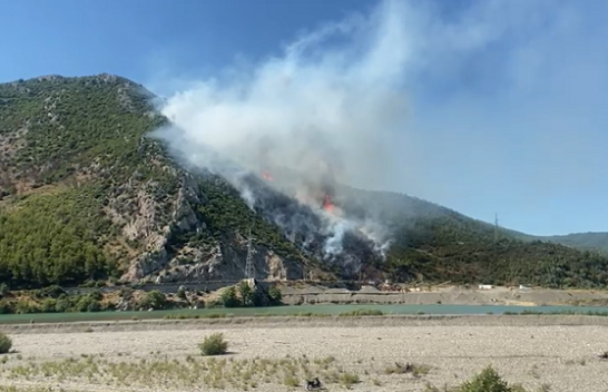 Tjetër vatër zjarri në Lezhë, digjet një sipërfaqe pyjore pranë Urës së Zogut