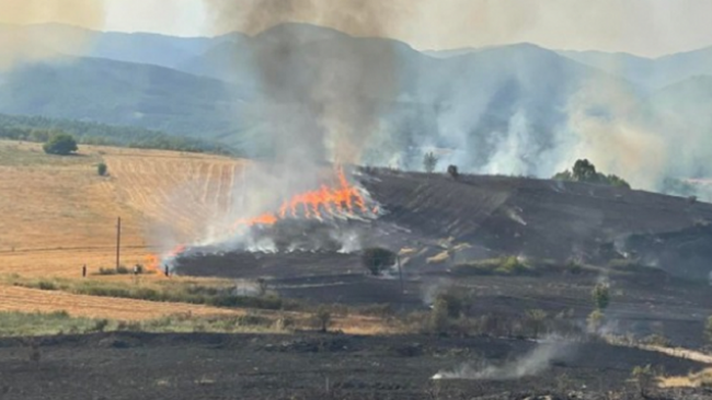 Zjarret përfshijnë disa fshatra të Mitrovicës