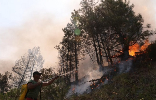 361 vatra zjarri të shuara gjatë korrikut në Shqipëri