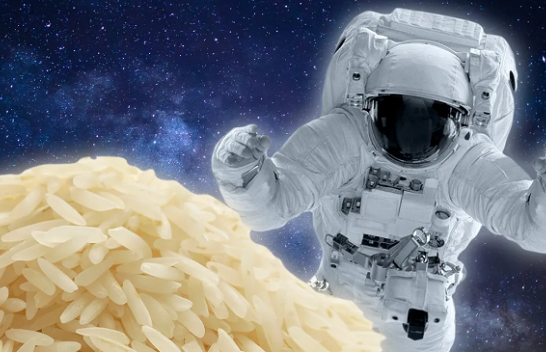 Astronautët kinezë kultivuan me sukses oriz në stacionin hapësinor Tiangong
